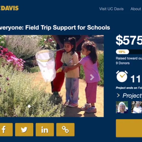 The Crowdfund for the UC Davis Bee Haven seeks $3000 to fund classroom field trips. As of 11 a.m., Feb. 17, the donations totaled $575. The Crowdfund ends at 12:59, Feb. 28.