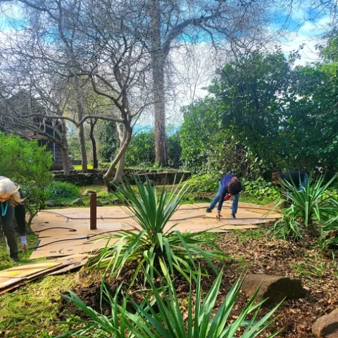 Laying down the cardboard - P. Pashby (1)