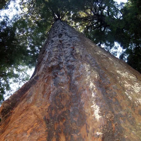 4015125225 2b7057335b k