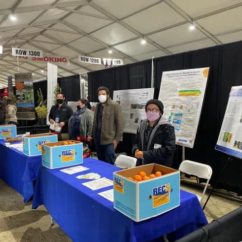 The four people wear face masks and stand behind a table with boxes of mandarins. Behind them are research posters on easels.
