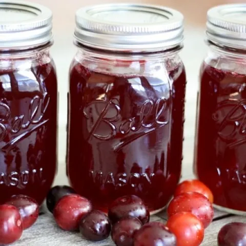16wild-plum-jelly-112