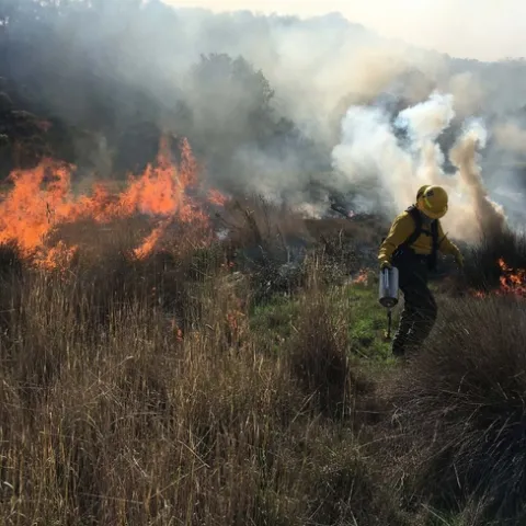 April 2 3rd Prescribed firelighter and wildland firefighter training (FFT2)