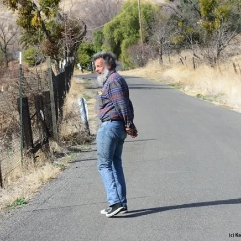 One of Art Shapiro's monitoring sites is Gates Canyon, Vacaville. Here he looks for butterflies in this image taken on Jan. 25, 2014. (Photo by Kathy Keatley Garvey)