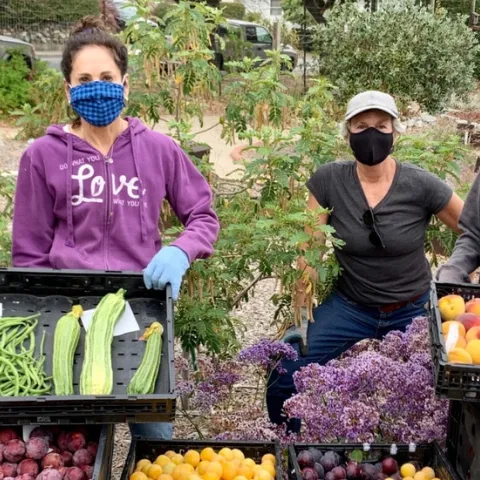 Two women wearing facemasks stand in a garden behind trays of long green beans, bittermelon, plums, peaches and other fresh produce.