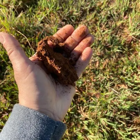 Soil moisture has declined after our mid-March rainfall (Mar 20, 2022)