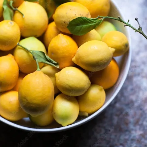 Meyer Lemon, (Carolyn Lagattuta, AdobeStock 178055003 )