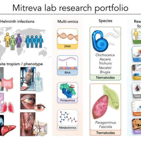 Research in the laboratory of Makedonka Mitreva (Screen shot)