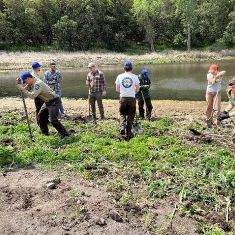 Nine people shown digging with long-handled shovels beside a pond.