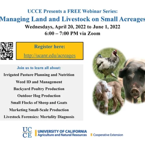 Spring Webinar Series flyer 2022