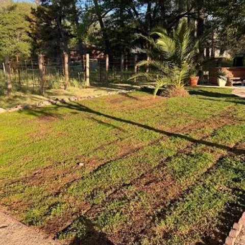 you can still see the edges of each section of the sod