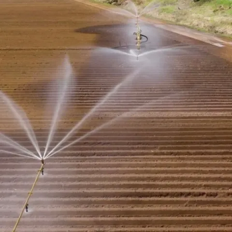Recortes de agua en agricultura debido a sequia