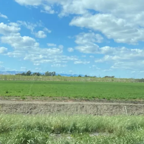 all photos taken in Solano County by Jennifer DeDora