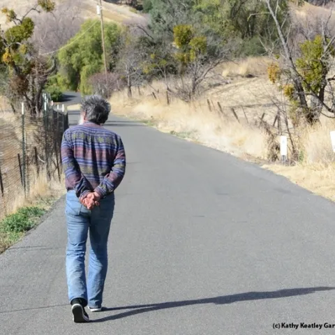 UC Davis distinguished professsor Art Shapiro monitoring his Gates Canyon, Vacaville site. He's been monitoring the butterfly populations of Central California for 50 years. (Photo by Kathy Keatley Garvey)