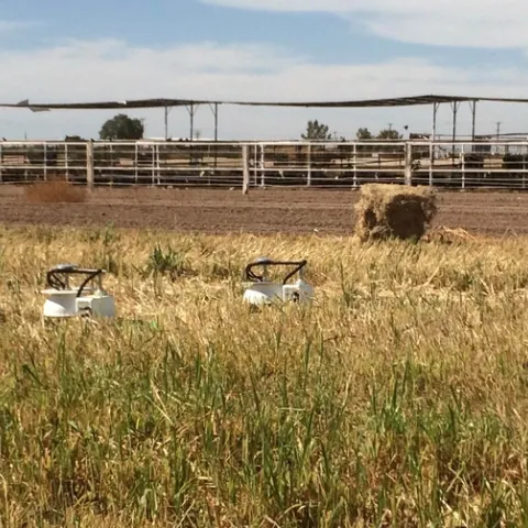 Cámaras automatizadas miden las emisiones de gas en la tierra en un campo de pasto Sudán en el Centro de Investigación y Extensión del Desierto en el condado Imperial. Fotografía por Holly Andrews