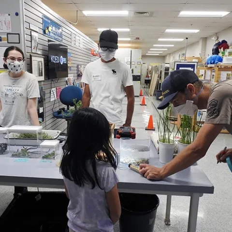 Cooperative Extension specialist Ian Grettenberger (far right) of the UC Davis Department of Entomology and Nematology leans over to talk to a visitor. In back are postdoctoral fellow Buddi Achhami (right) of the Grettenberger lab and UC Davis undergraduate student Omri Livneh. (Photo by Kathy Keatley Garvey)