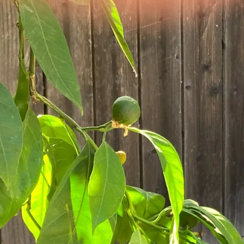 photos by Michelle Davis