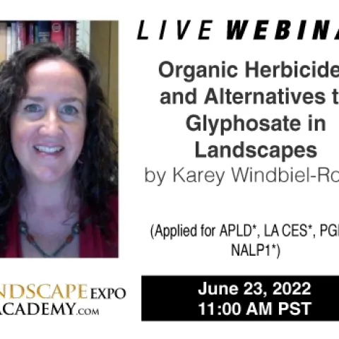 TLE-2022-Karey-Windbiel-Rojas-062322