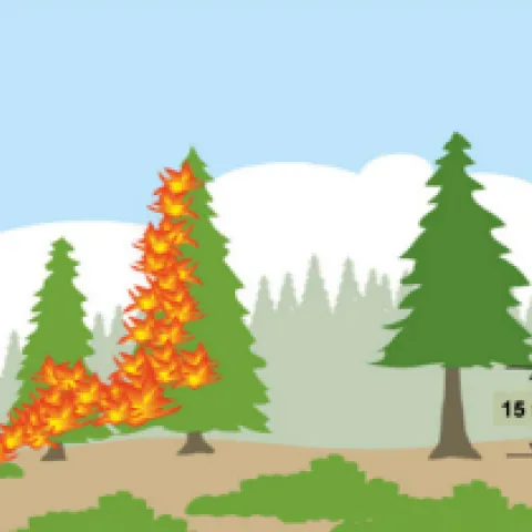 Remove fire ladders source-Riverside County fire