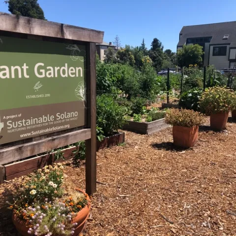 avant garden benicia mkolk