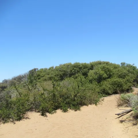 photos by Lanie Keystone