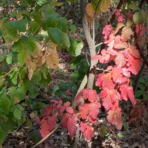 photo by Michelle Davis