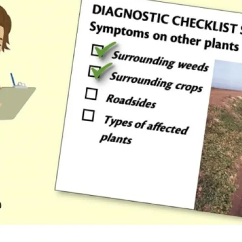The gold-winning video "Diagnosing Herbicide Injury" includes several interactive features to make it more engaging and entertaining, and to help viewers remember the information.