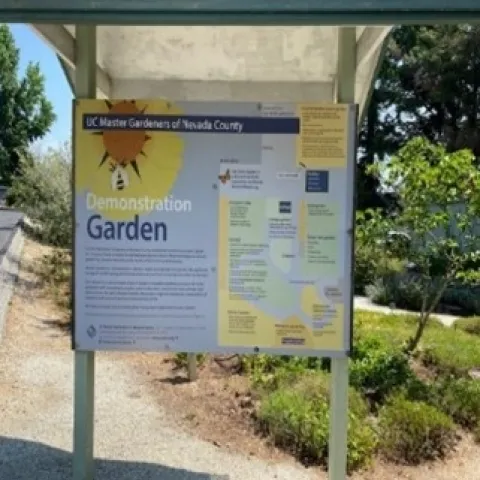 photos by Sherry Richards, Tina Paris and Gwen Avery