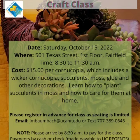 Holiday Succulent Cornucopia Craft class 2022