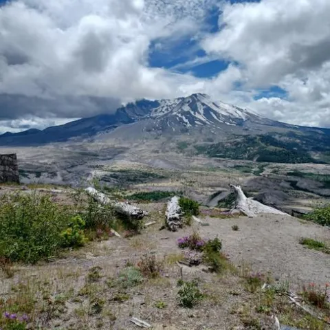 Mount St. Helen' (photos by Jenni Dodini)