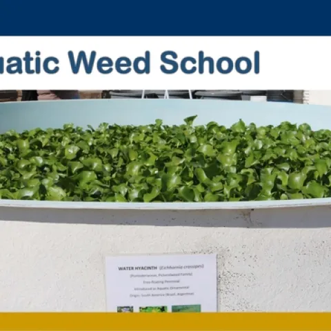 Aquatic Weed School