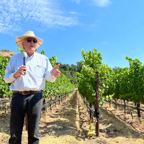 Man speaking into microphone while standing in front of a vineyard.