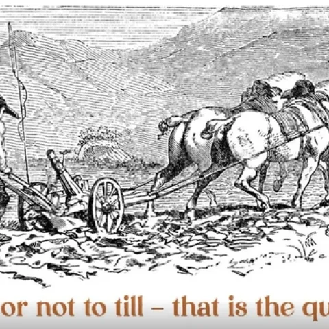 Capture Tom Willey SWCS