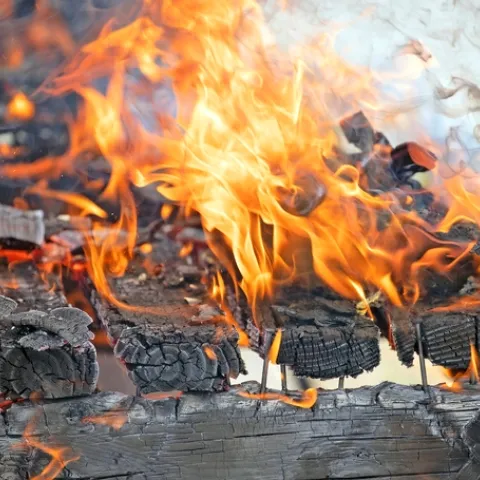 La División de Agricultura y Recursos Naturales de la Universidad de California, UC ANR, está aumentando, a través de todo el estado, su equipo de expertos en incendios. Foto de Evett Kilmartin
