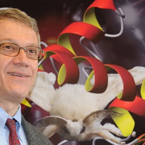 UC Davis distinguished professor Walter Leal is a newly selected Honorary Member of the Entomological Society of America. He is the sixth UC Davis faculty member to achieve the honor, the highest honor that ESA accords. (Photo by Kathy Keatley Garvey)