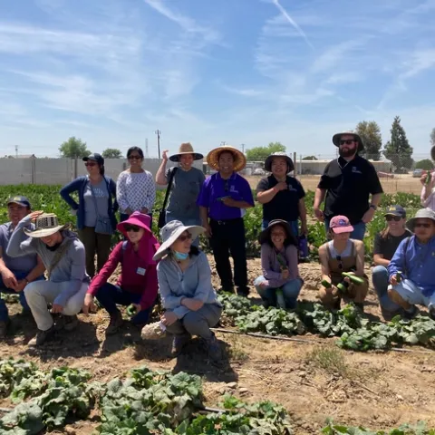 The UC Cooperative Extension small farms team poses among leafy greens at a Hmong farmer's farm.