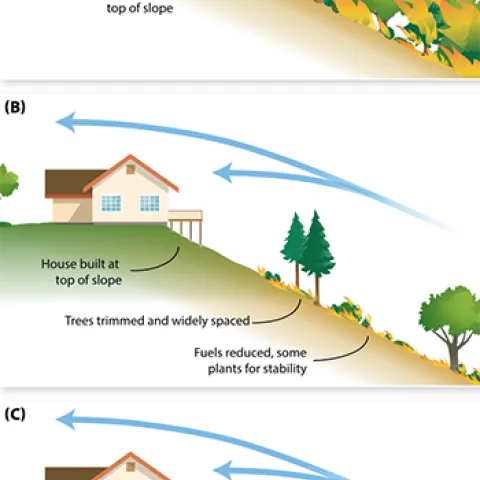 Fire speed on slopes