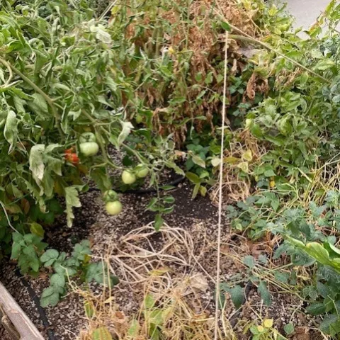 photo by Mike Gunther