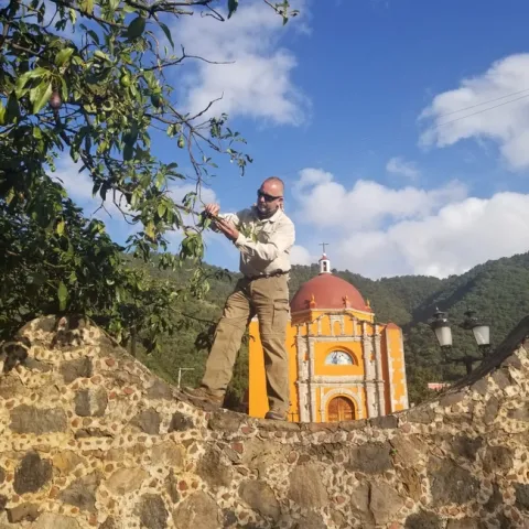 Mark Hoddle inspects a tree for avocado weevils in Mexico