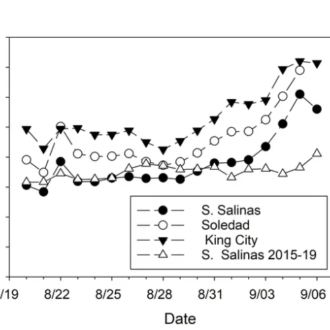 Figure 1. Maximum air temperatures recorded at the South Salinas, Soledad, and King City CIMIS weatherstation from August 20 – September 6, 2022. Average maximum air temperatures for the same period during years 2015-2019 for South Salinas are also shown