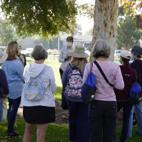 Several people gathered around a tree trunk
