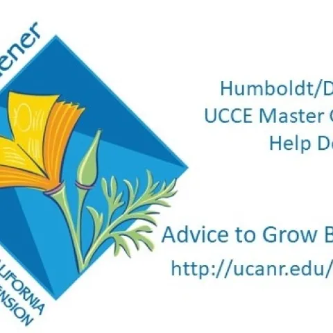 Advice to grow by ask us