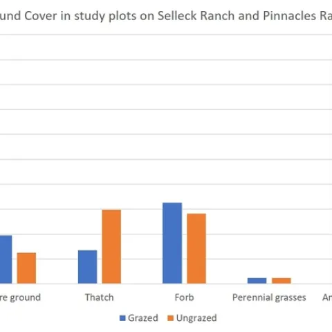 Fig1 Ground cover graph