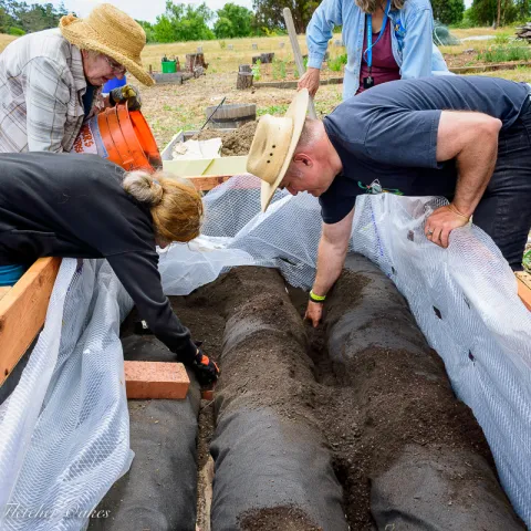 Photo by Fletcher Oakes. UC Master Gardeners build raised beds in the Water Conservation Garden in El Cerrito