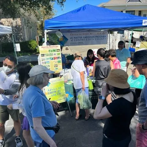 Dougherty Station San Ramon Ask A Master Gardener booth