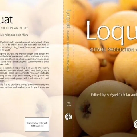 loquat book