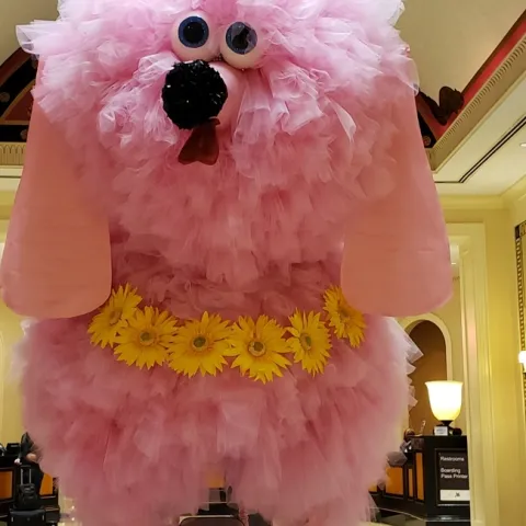 Fifi the pink poodle Oct 4 22