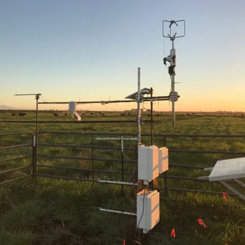 Equipment like this is used to measure crop water use. This photo was taken during a previous Delta trial.