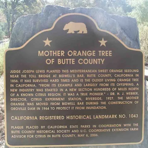 Mother Orange Historial Marker, Cindy Weiner
