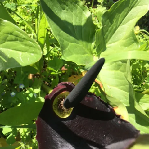 photos by Heather Hamilton