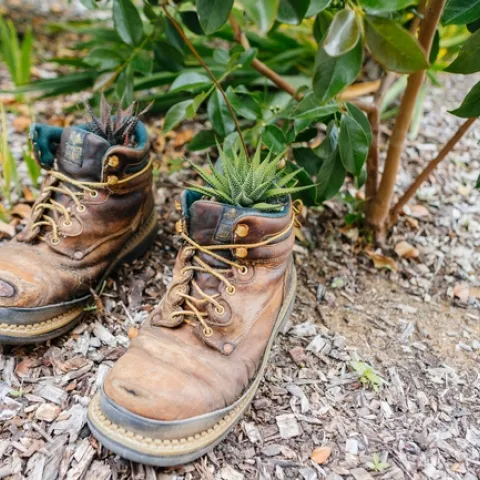 Boots in the dirt in front of a garden.